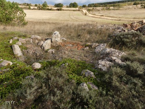 Dolmen de El Virgazal Ayoluengo Covanera Burgos Castilla y León