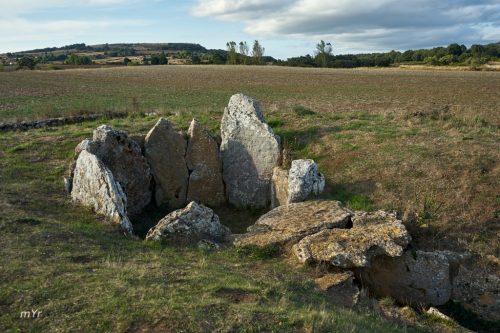 Dolmen de La Cotorrita F1 Porquera de Butrón Burgos