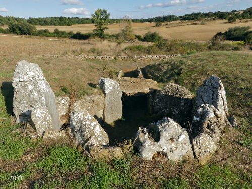 Dolmen de La Cotorrita F1 Porquera de Butrón Burgos