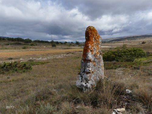 Mazorra Menhir o mojon Dobro Burgos Castilla y León