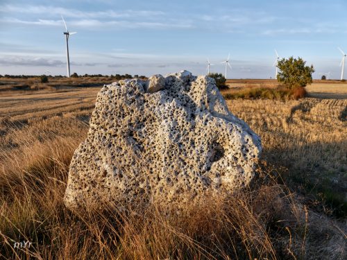 Menhir de La Serna Arroyal Burgos Castilla y León