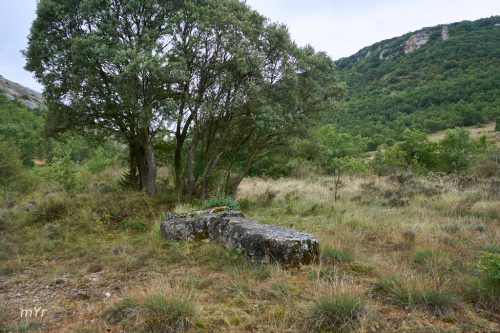 Menhir de Las Puertas F1 Nocedo Burgos Castilla y León