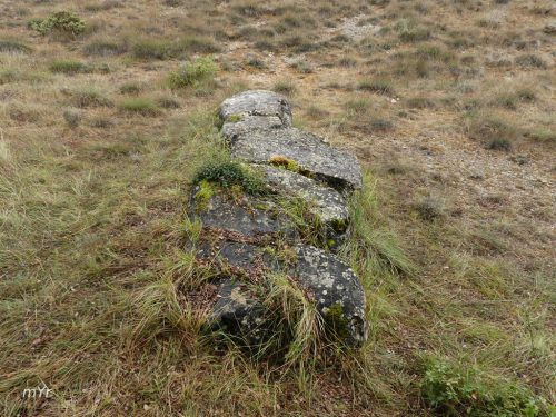 Menhir de Las Puertas F2 Nocedo Burgos Castilla y León