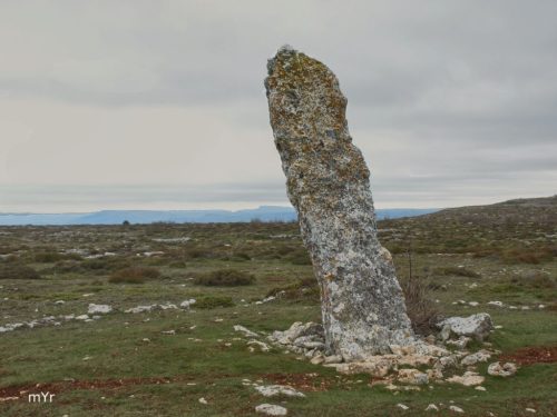 Menhir Cantohito I F1 Revilla de Pomar  Palencia