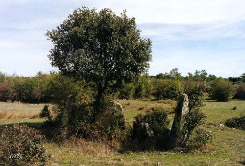 Dolmen Villasdardo Vitigudino Salamanca Castilla y León
