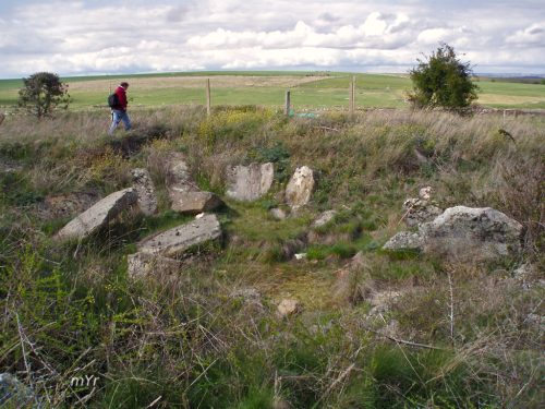 Dolmen-de-El Torrejon Villarmayor Salamanca Castilla y León
