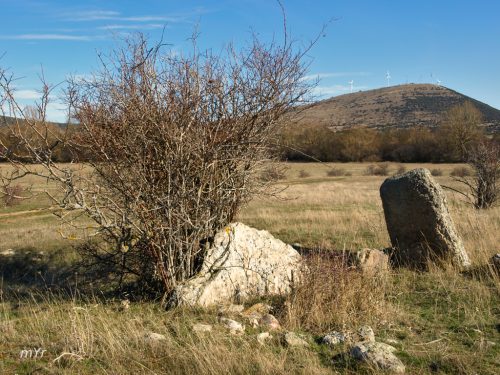 Dolmen-de-San-Gregorio F1-Almarza-Soria Castilla y León