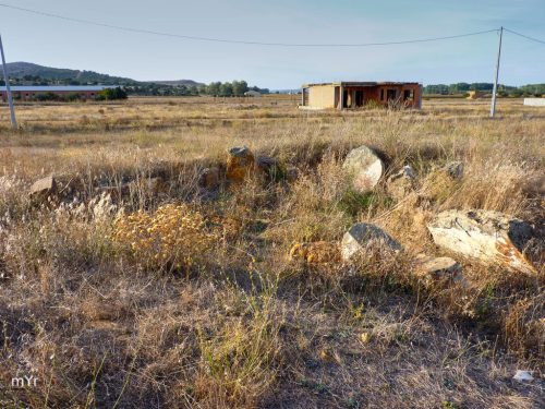 Dolmen-El-Tesoro-F2-Morales-de-Rey-Zamora Castilla y León