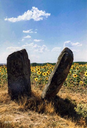 Dolmen-San-Adrian-F4 Granucillos-de-Vidriales-Zamora Castilla y León