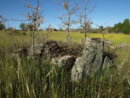 Dolmen de Torregamones Zamora Castilla y León