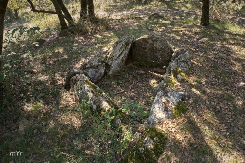 Dolmen-La-Mare-de-Deu-del-Bosc-L'Espunyola-Barcelona Cataluña
