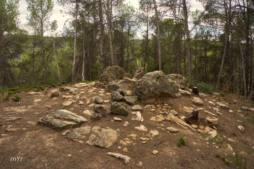 Dolmen-de-Can-SerragallardaF2-Sant-Pere-Sallavinera-Barcelona Cataluña