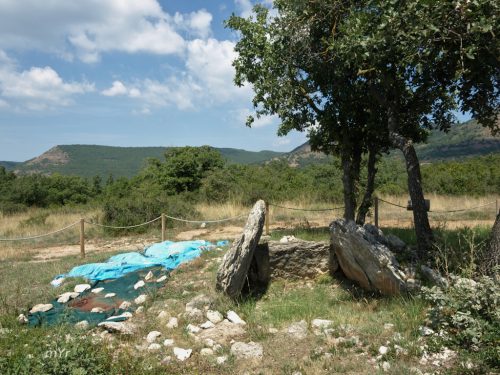 Dolmen del Plá de Cuspinar F1 Moià Barcelona Cataluña