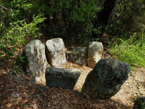 Dolmen-Bosc-d'en-Roquet F2-Romanyà-de-la-Selva-Girona Cataluña