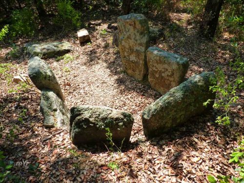 Dolmen-Bosc-d'en-Roquet F1-Romanyà-de-la-Selva-Girona Cataluña