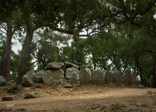Dolmen-Cova-d'en-Daina F1 Romaña de  la Selva Girona Cataluña