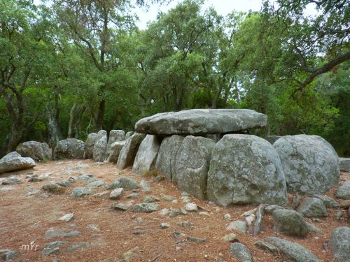 Dolmen-Cova-d'en-Daina F2 Romaña de  la Selva Girona Cataluña