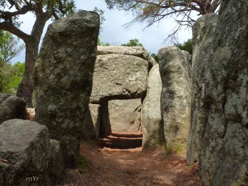 Dolmen-Cova-d'en-Daina F3 Romaña de  la Selva Girona Cataluña