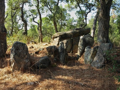 Dolmen-Mas-Bou-serenys-Sata-Cristina-d'Aro-Girona Cataluña