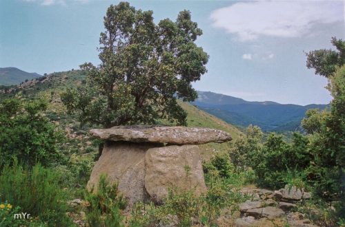 Dolmen-de-Arreganyats F1-Espolla-Girona Cataluña