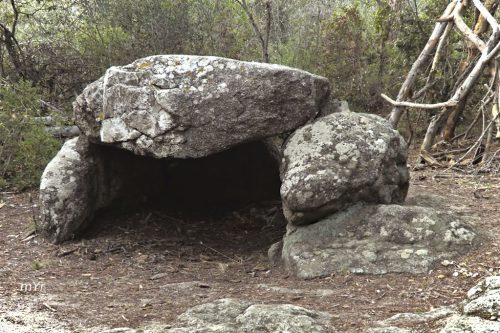 Dolmen de Can Mina dels Torrents Llanfrac  Girona. Cataluña