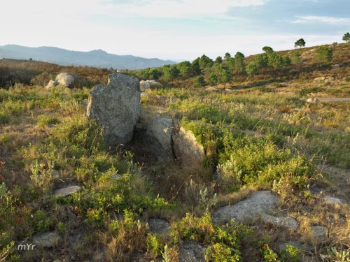 Dolmen-de-Coll del bosc de la Margala Pau Girona Cataluña