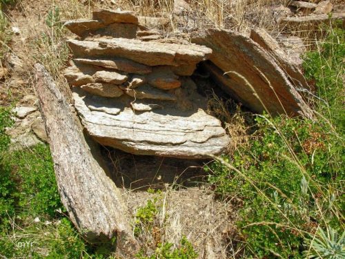 Dolmen-de-la Creu Blanca F2 Pau Girona Cataluña