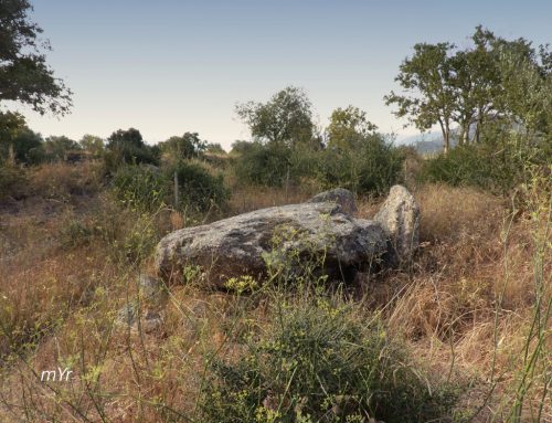 Dolmen de Prat Tanca Sant Climent Sescebes Girona Cataluña