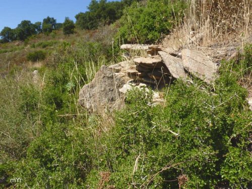 Dolmen-de-la Creu Blanca F1 Pau Girona Cataluña