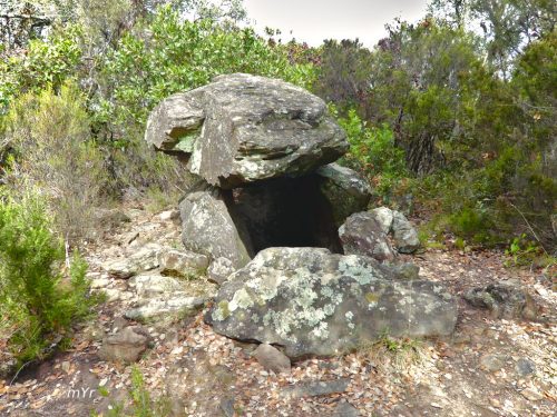 Dolmen de la Vinya F2 Gran Llufríu Girona Cataluña