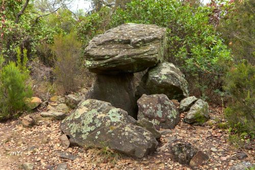 Dolmen de la Vinya F1 Gran Llufríu Girona Cataluña