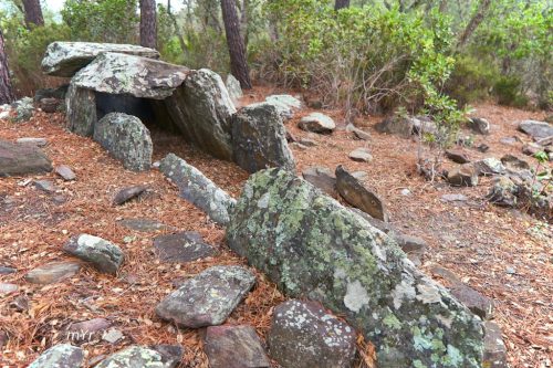 Dolmen del Mas Estanyet F1 Sant Climent de Peralta Girona Cataluña
