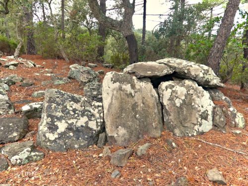 Dolmen del Mas Estanyet F2 Sant Climent de Peralta Girona Cataluña