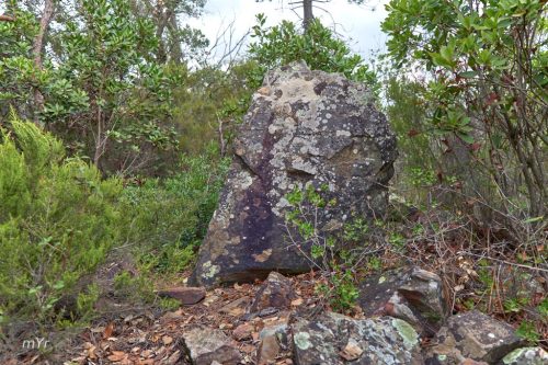 Menhir de Fito Llufríu Girona Cataluña