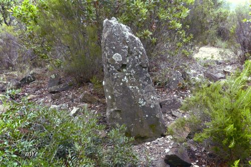 Menhir de Fito Llufríu Girona Cataluña