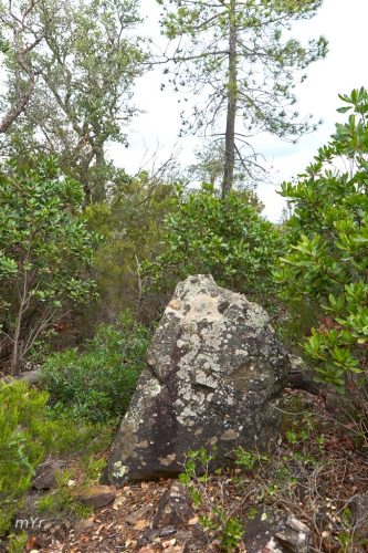 Menhir de Fito Llufríu Girona Cataluña