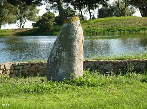 Menhir-de-Sa-Pedra-Aguda-o-Pedra-de-les-Goges-Sta-Cristina-d'Aro-Girona Cataluña