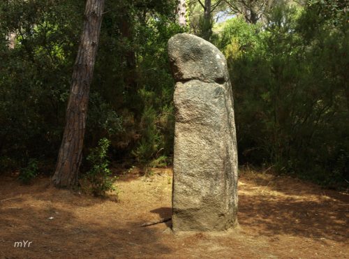 Menhir-de-la-Murtra-Romanyà-de-la-Selva-Girona Cataluña