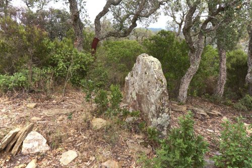 Pedra Dreta de les Tres Finques Sant Climent de Peralta Girona Cataluña