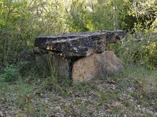 Cista Camí de Madrona F1 Pinell de Solsonès Lleida Cataluña