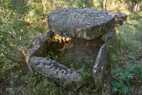 Cista Camí de Madrona F2 Pinell de Solsonès Lleida Cataluña