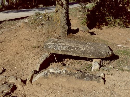 Cista de Gangolells  Pinós Lleida Cataluña