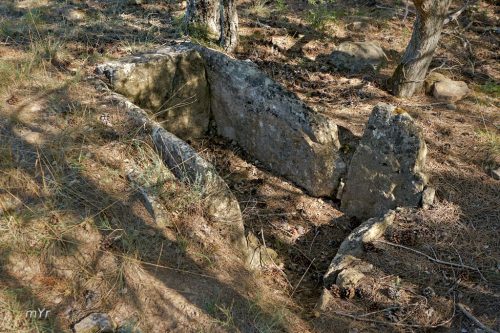 Cista solsoniana del Serrat de la Fossa F1 Vilanova de l'Aguda Lleida Cataluña
