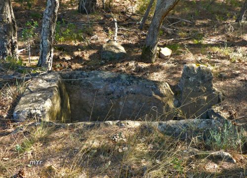 Cista solsoniana del Serrat de la Fossa F2 Vilanova de l'Aguda Lleida Cataluña