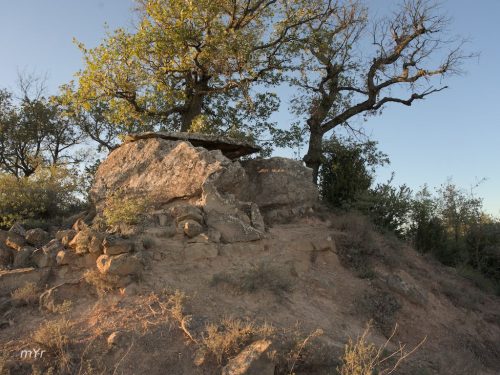 Dolmen Collet de Sú F1 Pinos Lleida Cataluña
