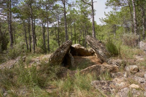 Dolmen Collet del Salzer I OdenLleida Cataluña
