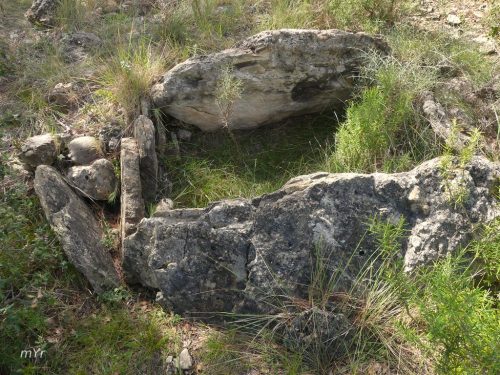 Dolmen Collet del Salzer II F1 OdenLleida Cataluña