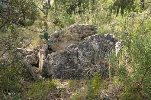 Dolmen Collet del Salzer II F2 OdenLleida Cataluña