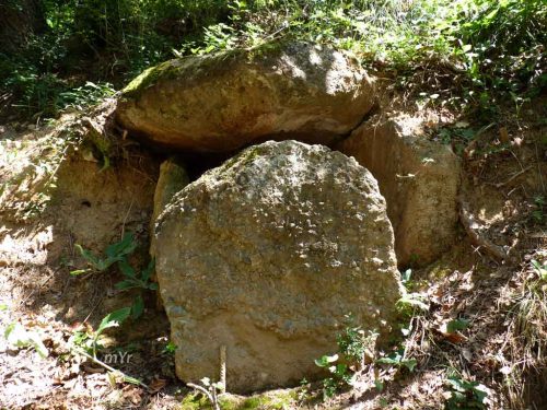 Dolmen-de-Llor-1-Castellar-de-la-Ribera-Lleida Cataluña