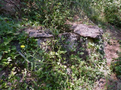 Dolmen-de-Llor-2-Castellar-de-la-Ribera-Lleida Cataluña